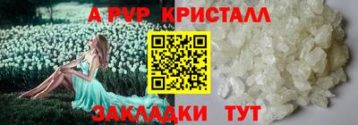 spice Кунгур