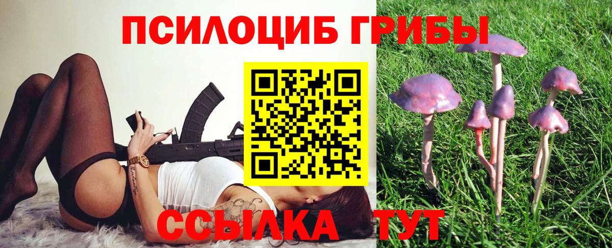 Галлюциногенные грибы Cubensis Грязи