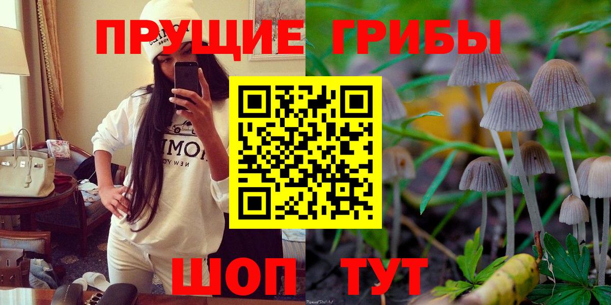 Галлюциногенные грибы GOLDEN TEACHER  Вход с VPN  Грязи 